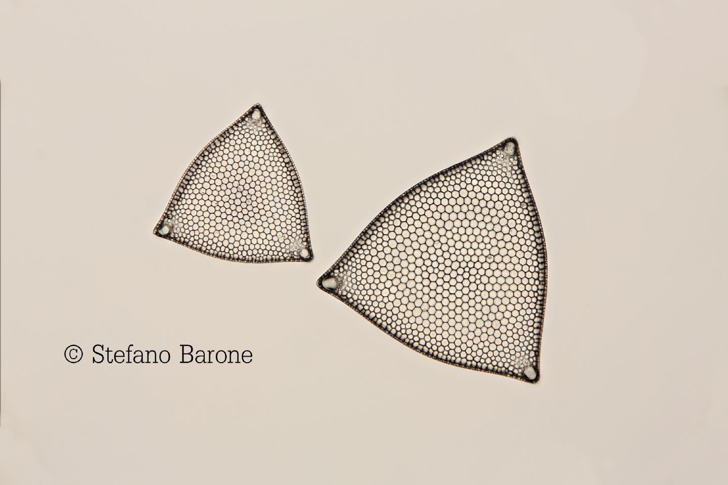 Axio Scope.A1 arrivato!